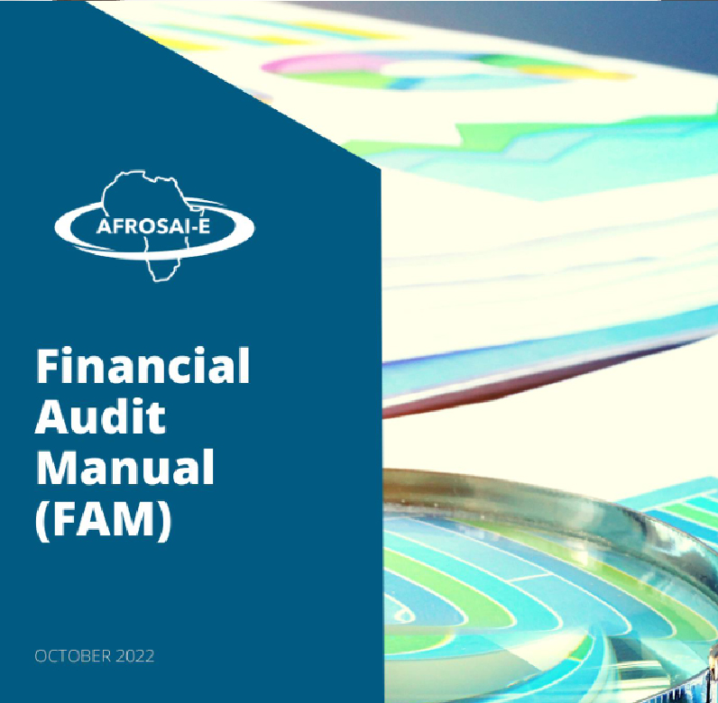 Financial Audit Manual - FAM